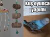 Muhabbet Kuşu Oyuncak yapımı