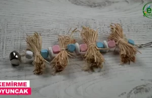 Muhabbet kuşu oyuncak Mutlu kuşlar için oyuncak yapımı Mutlu kuş